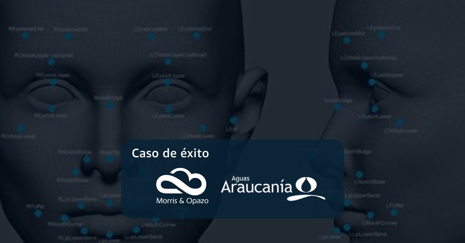 Caso de éxito – Big Data & Analytics: Aguas Araucanía – Reconocimiento de Imágenes y Video usando Aprendizaje Automático