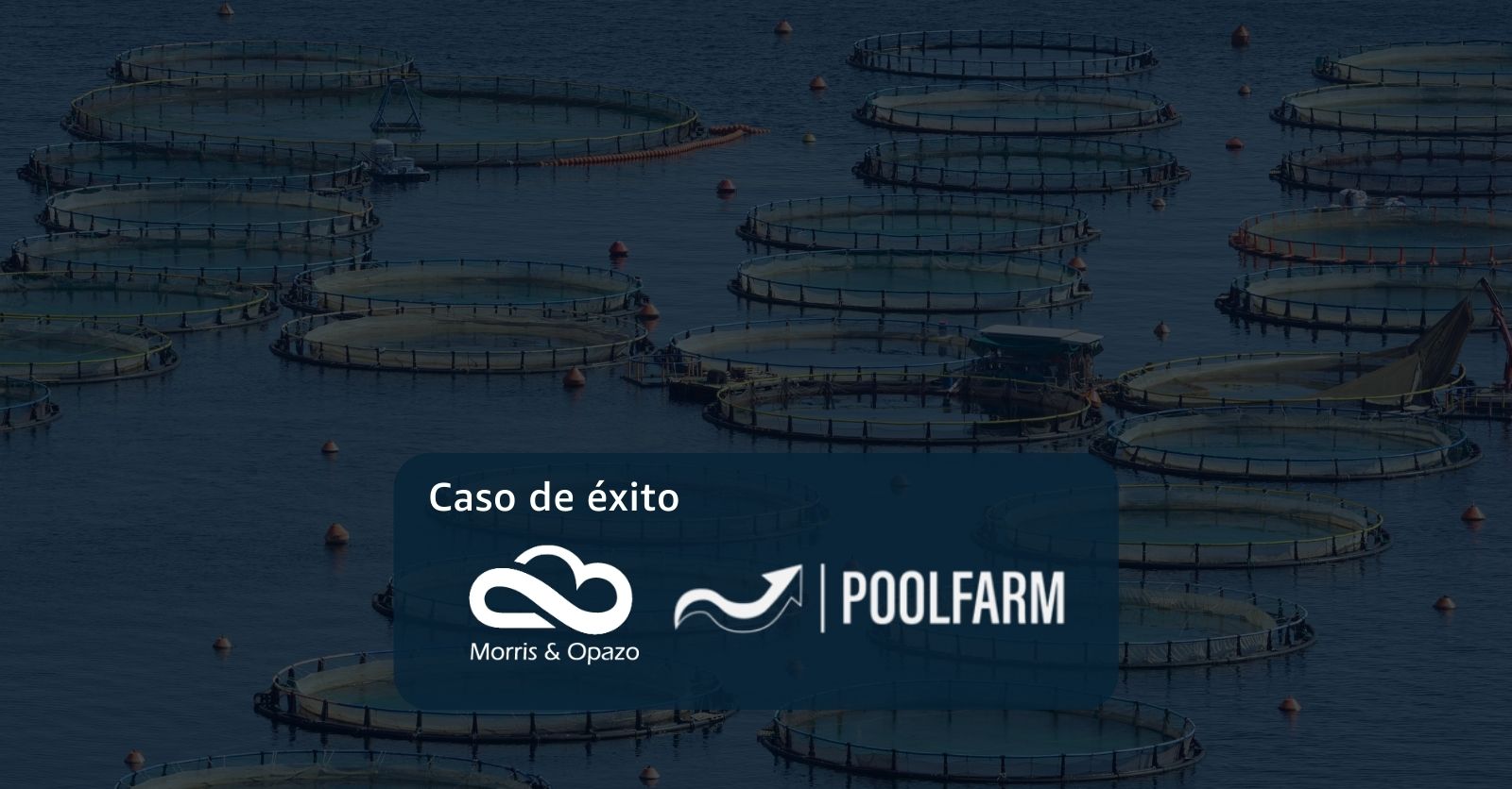 Monitoreo y predicciones de indicadores de piscigranjas en la nube en tiempo real – Caso de uso PoolFarm