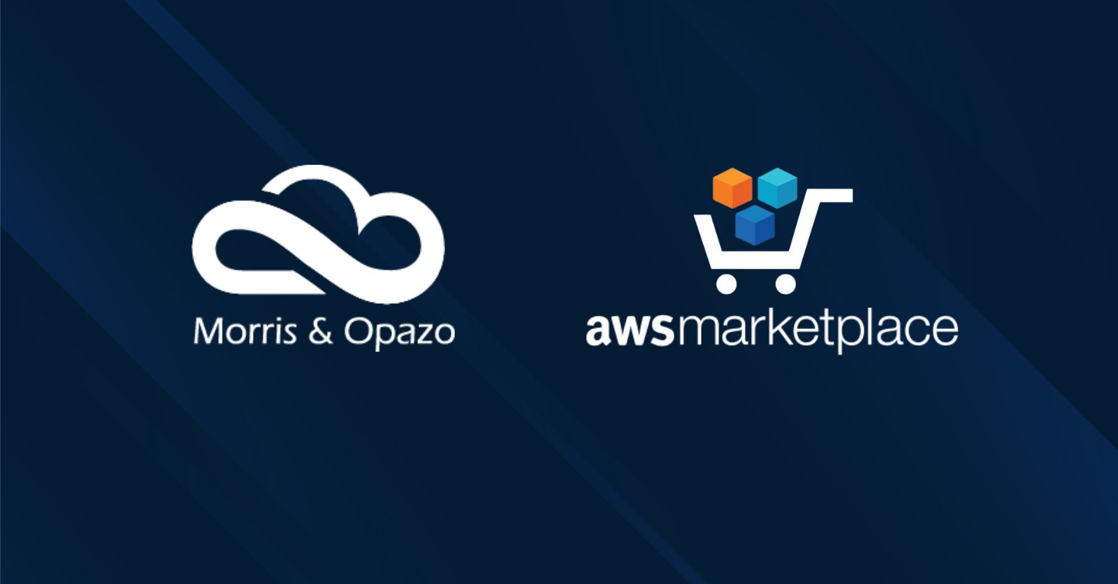 Conoce los servicios que Morris & Opazo ofrece en AWS Marketplace