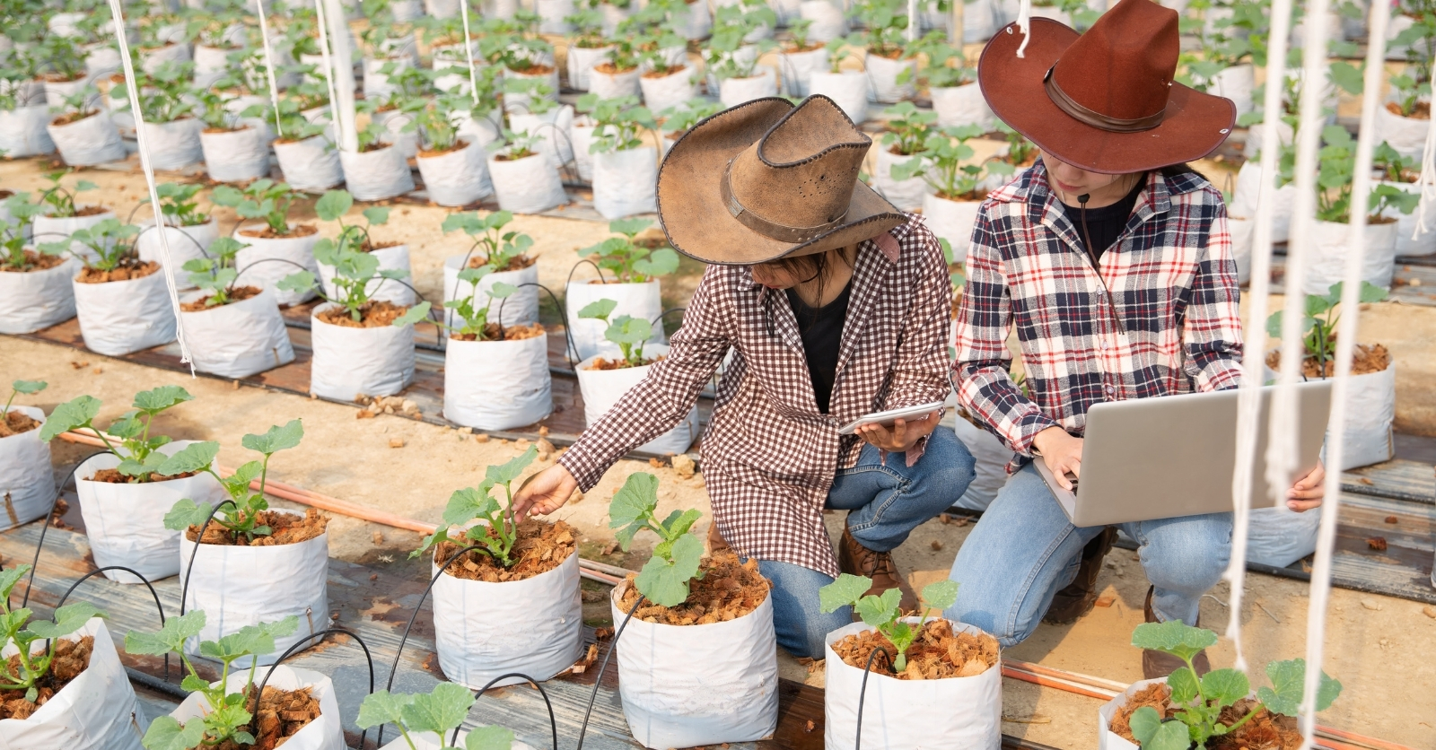 Proyecto | Transforma tu producción agrícola con Granja Cloud, una solución en la nube de AWS | Jessica Fuentes